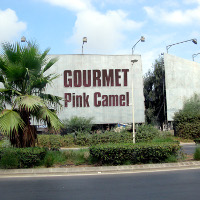 The front cover of Gourmet: Pink Camel